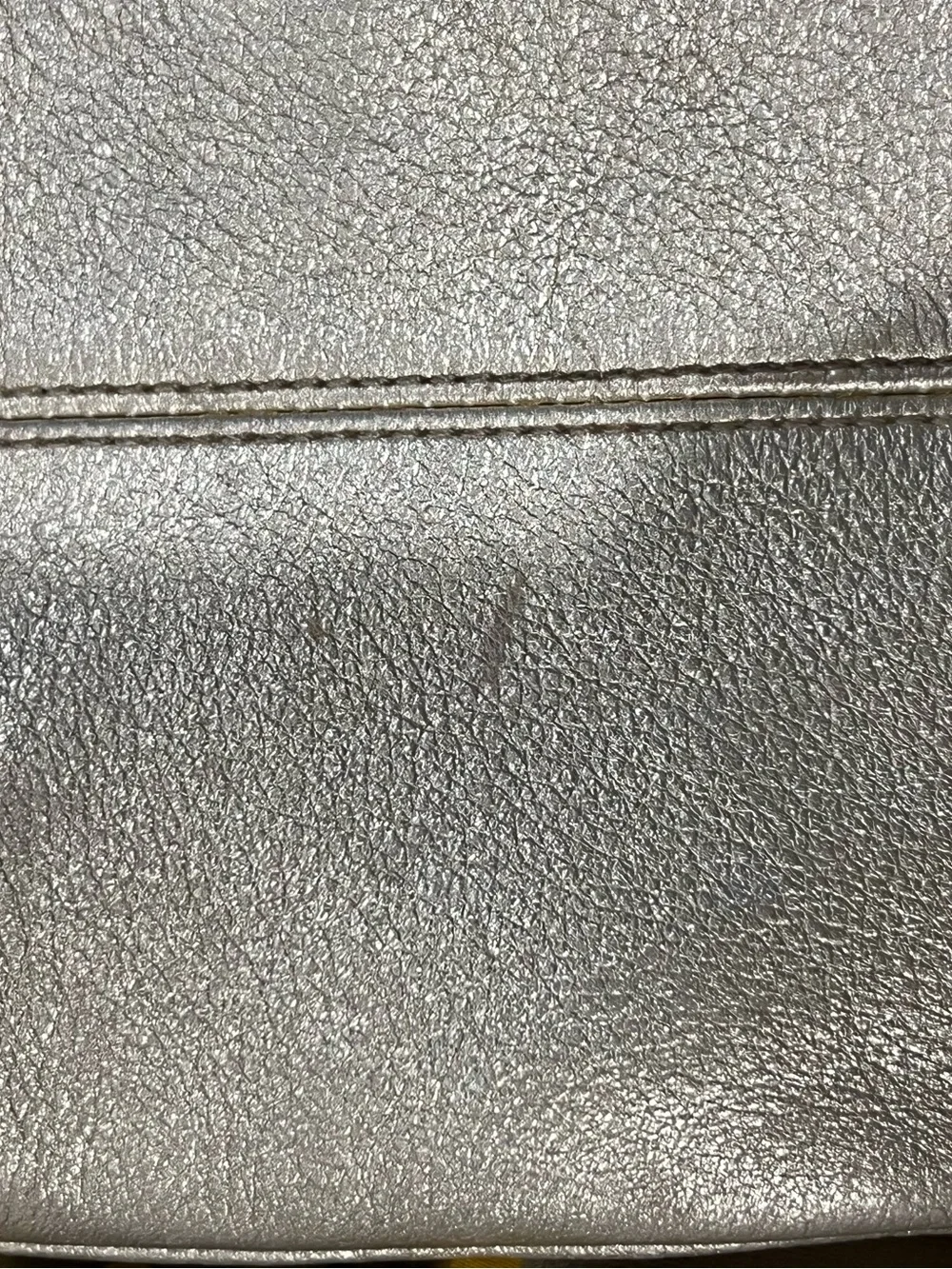Metallic Silver Crossbody Bag with Gold Accent